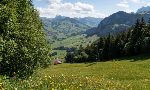 Tour des Alpes Vaudoises