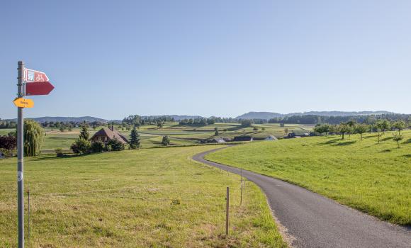 Säuliamt–Schwyz, Stage 1/2