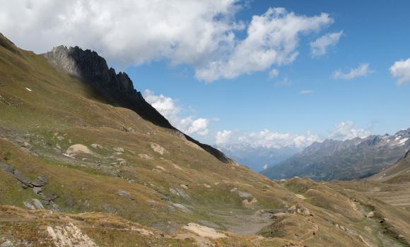 Alpine Passes Trail