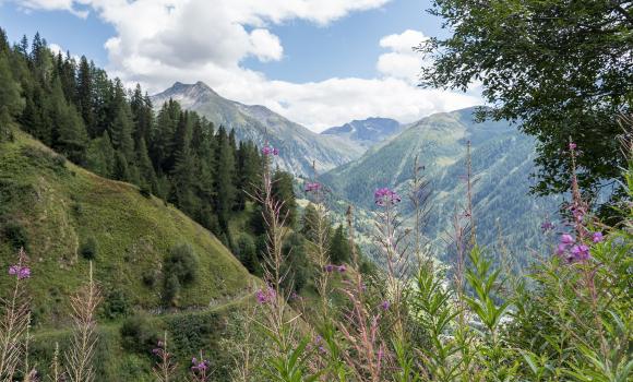 Gommer Höhenweg