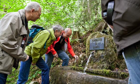 On the trails of the absinth distillers