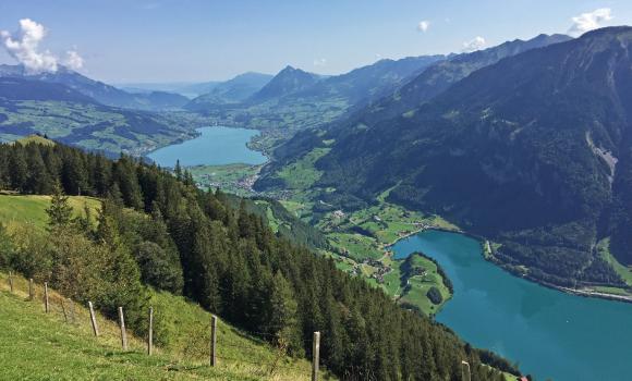 Schmetterlingspfad Lungern