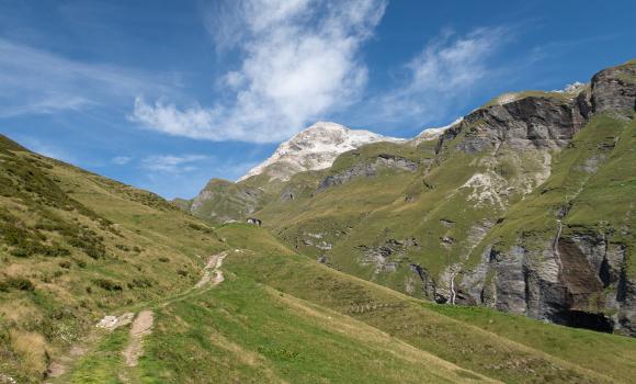 Alpine Passes Trail