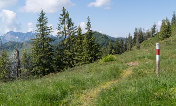 Obwaldner Höhenweg, Stage 2/6