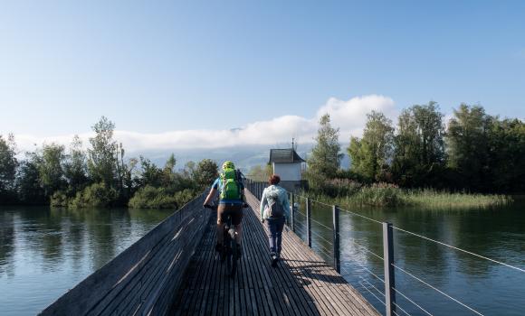 Holzbrücke Seedamm-Weg