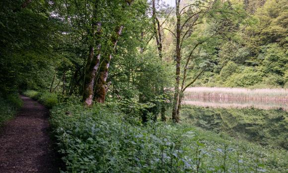 Des Franches-Montagnes au Doubs