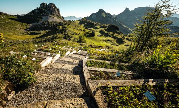 Alpine Botanic Garden