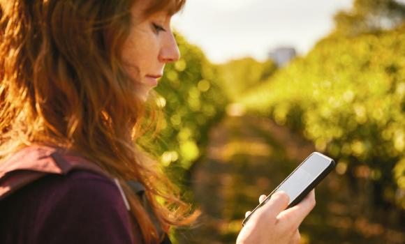 Vineyard walks in the canton of Vaud