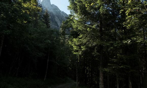 Panorama Bike, Stage 6/14