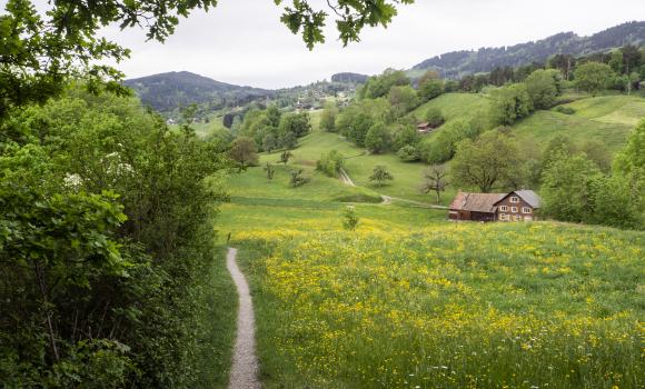 Rheintaler Höhenweg, Stage 3/6