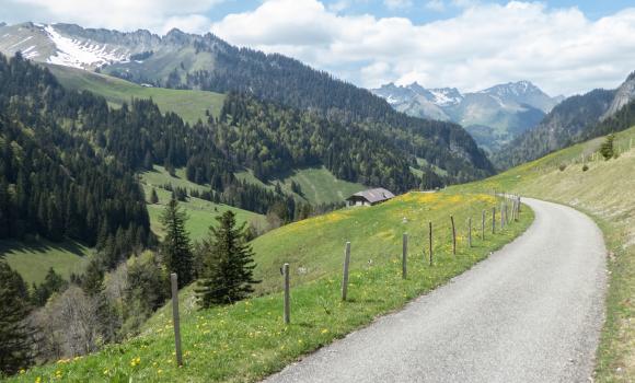 Alpine Panorama Route