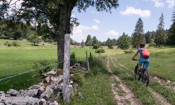 La Sibérie Bike