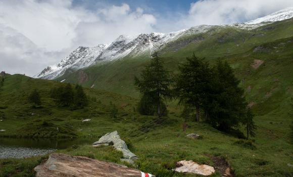 Alpine Passes Trail