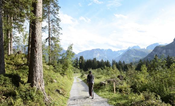 Rapid Descents in Braunwald Forest