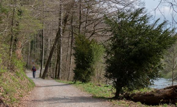 L'Areuse–Emme–Sihl, Stage 5/5