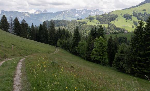Alpine Panorama Trail, Stage 22/29