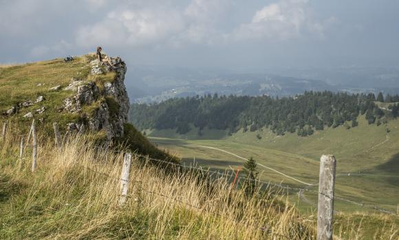 Jura Crest Trail