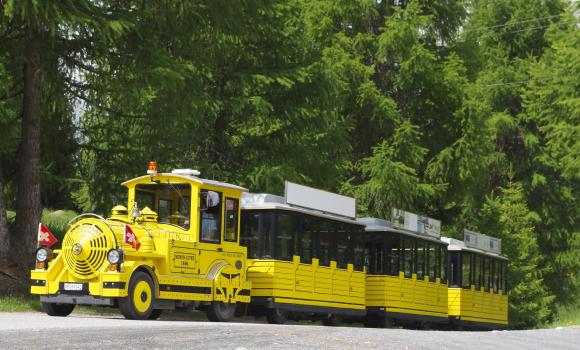 All aboard for the Swiss National Park on the Express Parc Naziunel