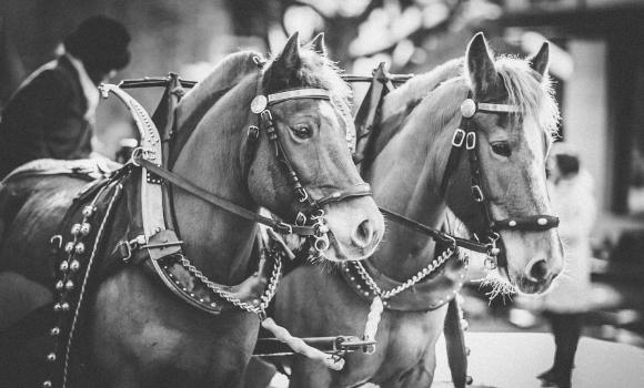 Through Kandersteg in a stagecoach