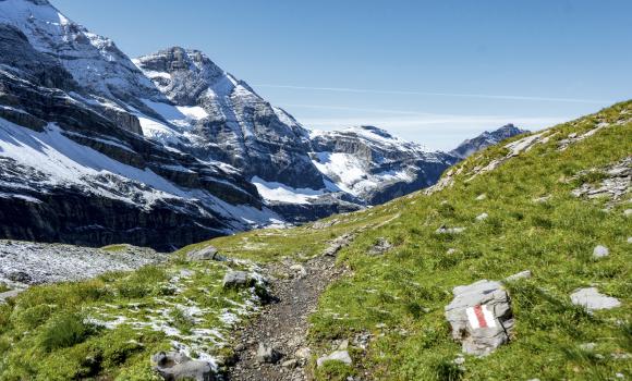 Alpine Passes Trail