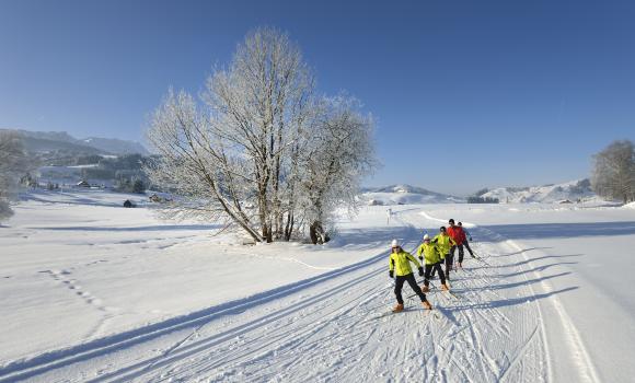 Cross-country dreams come true in Appenzell's high moorland