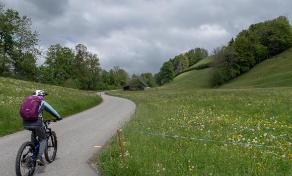 Obstgarten-Route, Stage 2/2