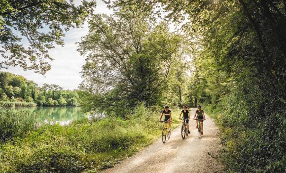 Aare Route, Stage 7/7