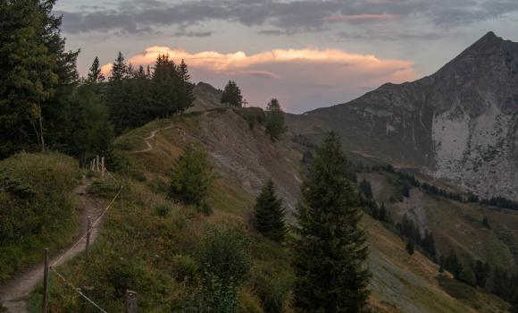 Alpine Passes Trail