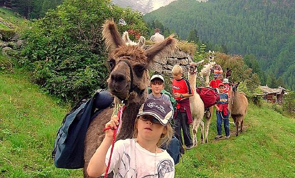 Adventurous Lama Trekking