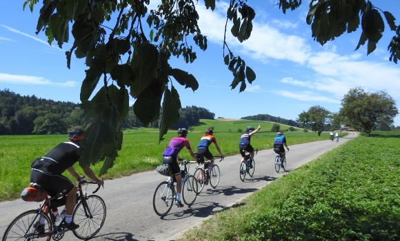 Alter Bernerweg, Stage 3/4
