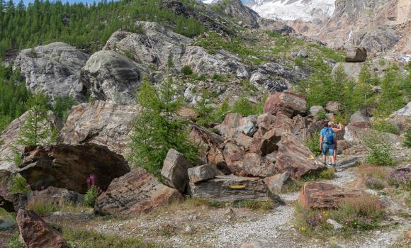 Gemsweg Saas-Fee