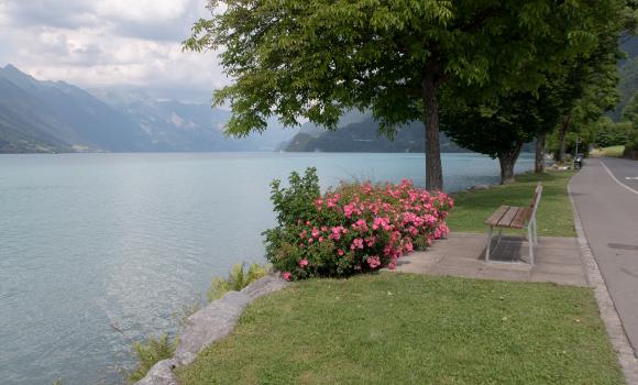 Brienzersee Drei Wasserfälleweg