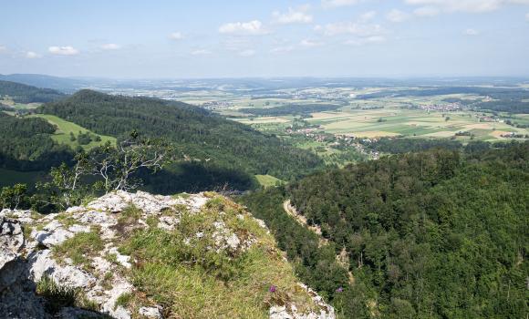 Chemin du 100e du CAS Jura