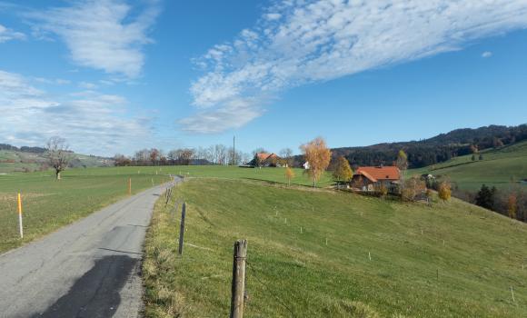 Alpine Panorama Route