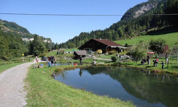 Trout fishing at the Chalet Rosalie