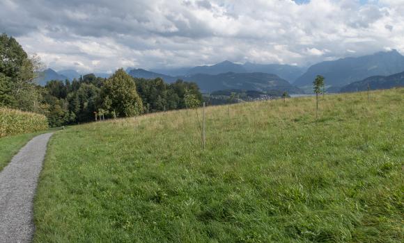 Alpine Panorama Trail, Stage 11/29