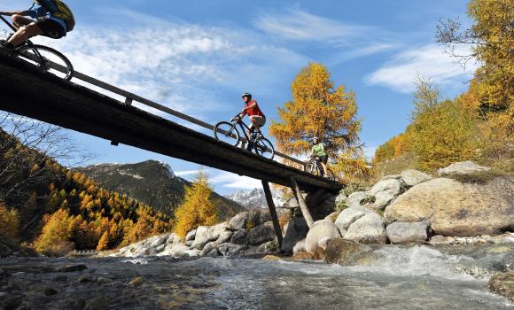 Alpine Bike