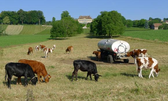 Gros de Vaud–La Côte