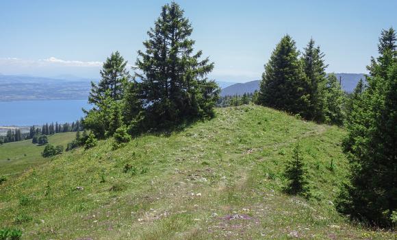 Sentier des Statues