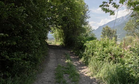 Jakobsweg Graubünden, Stage 14/19