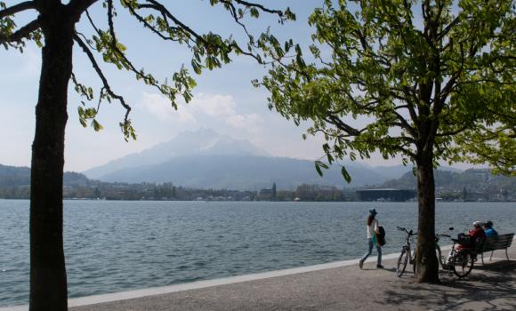 Luzerner Seeuferweg