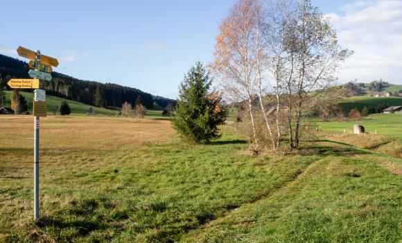 Appenzeller Weg, Stage 2/3