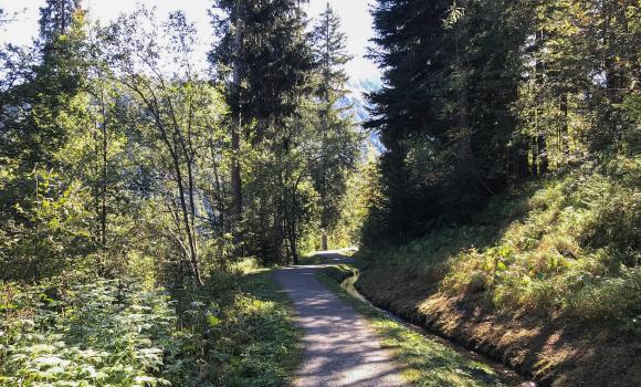 Sentier des Sens La Tzoumaz