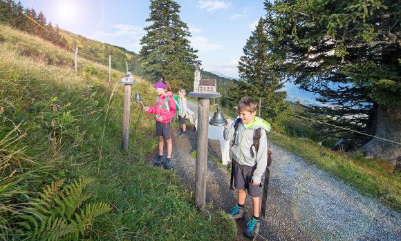 Heidi Path – Alp Schwarzbüel