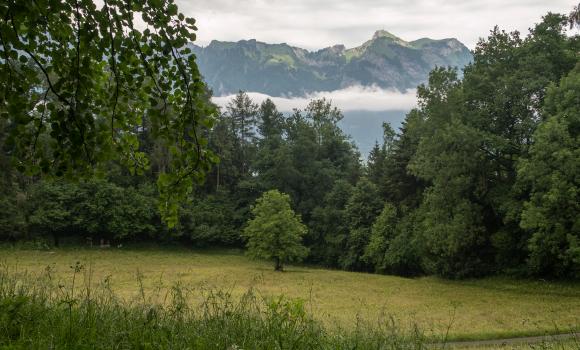 Eschnerberg-Höhenweg