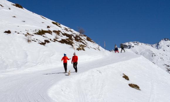 Chemin Grands Plans–Grimentz