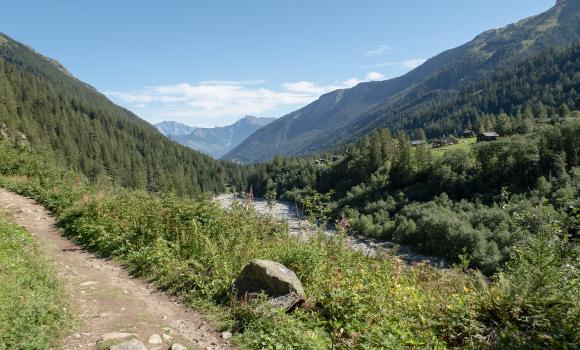 Alpine Passes Trail