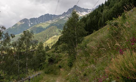 Jakobsweg Graubünden, Stage 18/19
