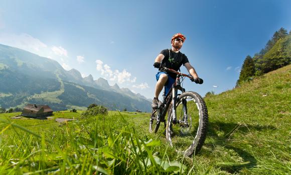 Panorama Bike