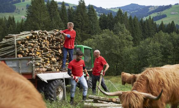 Corporate Volunteering in the mountains